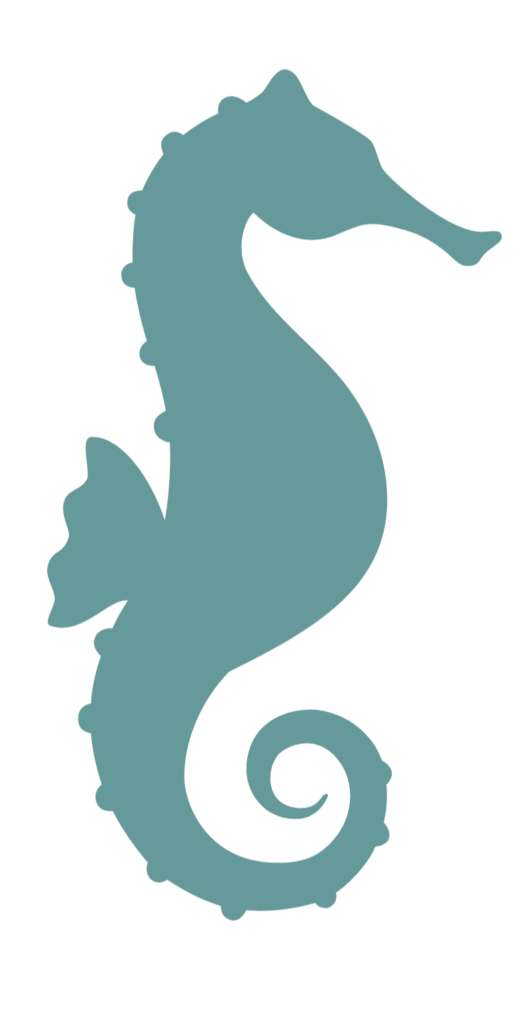 seahorse seaside home health care logo