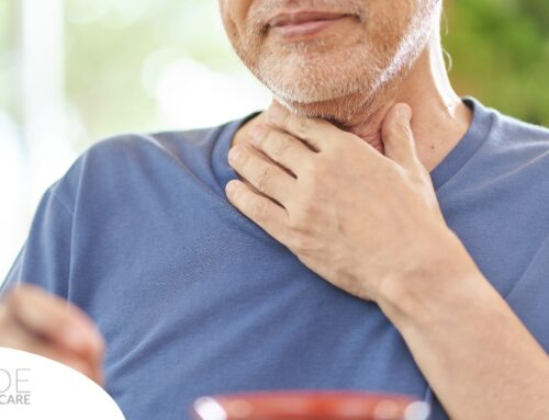 Dysphagia and Senior Health: A Practical Guide to Safe Eating